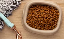 ②ペット関連企業 | ISRセキュリティニュース編集局