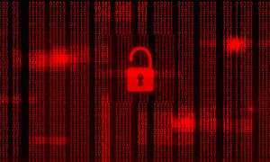 中小企業の5社に1社がサイバー攻撃で事業停止の危機 - VikingCloud調査 | ISRセキュリティニュース編集局