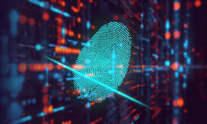 アイデンティティ侵害のコストは典型的なインシデントよりも高いと指摘 - RSA調査 | ISRセキュリティニュース編集局
