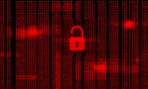 中小企業の5社に1社がサイバー攻撃で事業停止の危機 - VikingCloud調査 | ISRセキュリティニュース編集局