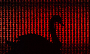 新たなサイバー攻撃「Swan Vector」日本・台湾が標的に | ISRセキュリティニュース編集局