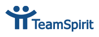 シングルサインオン (SSO) 連携サービス - TeamSpirit